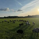 Apartmán Hof Koenig