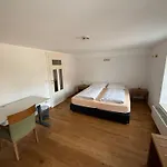 Hof Koenig 아파트 *