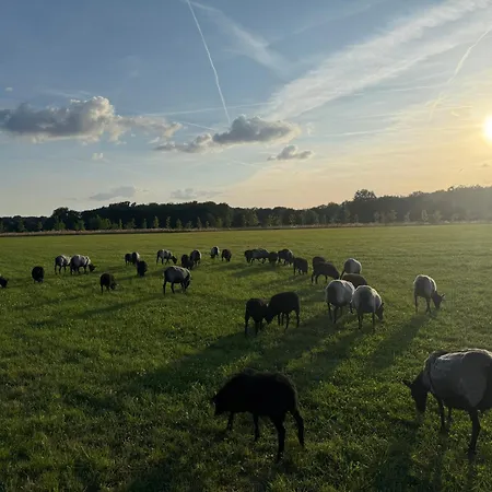 Apartman Hof Koenig