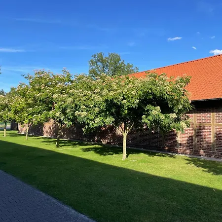 Apartment Hof König