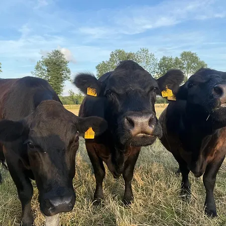 Hof Koenig * Everswinkel