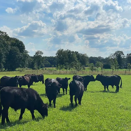 Hof Koenig Everswinkel
