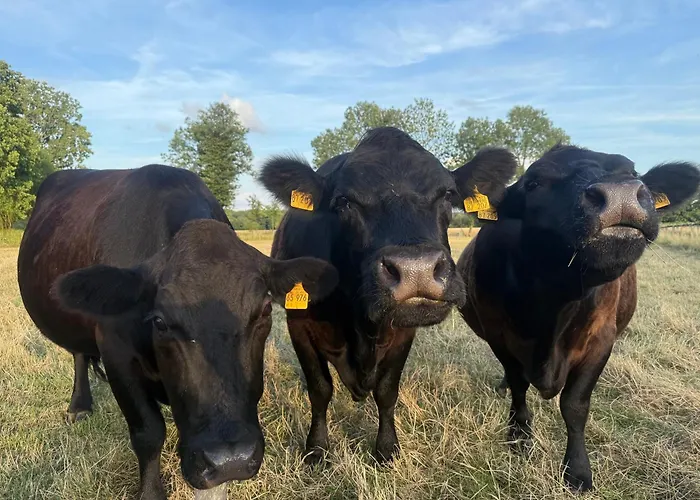 Hof König * Everswinkel