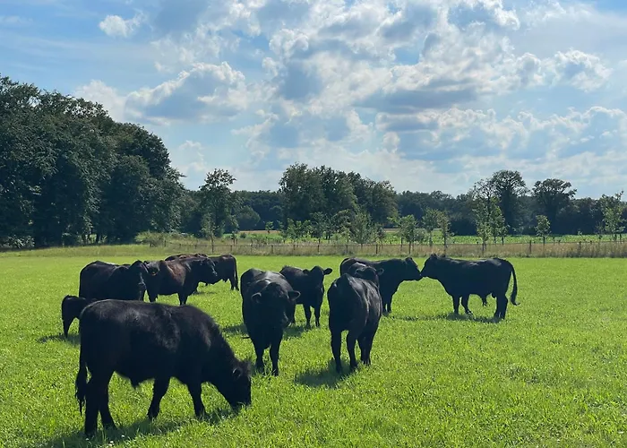 Hof König Everswinkel